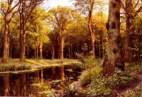 Monsted, Peder Mork - A Forest Stream